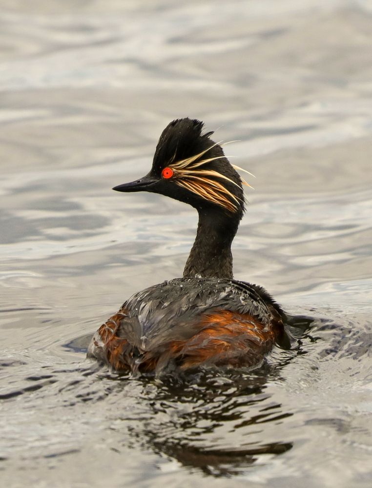 Photograph by Анна Колосова