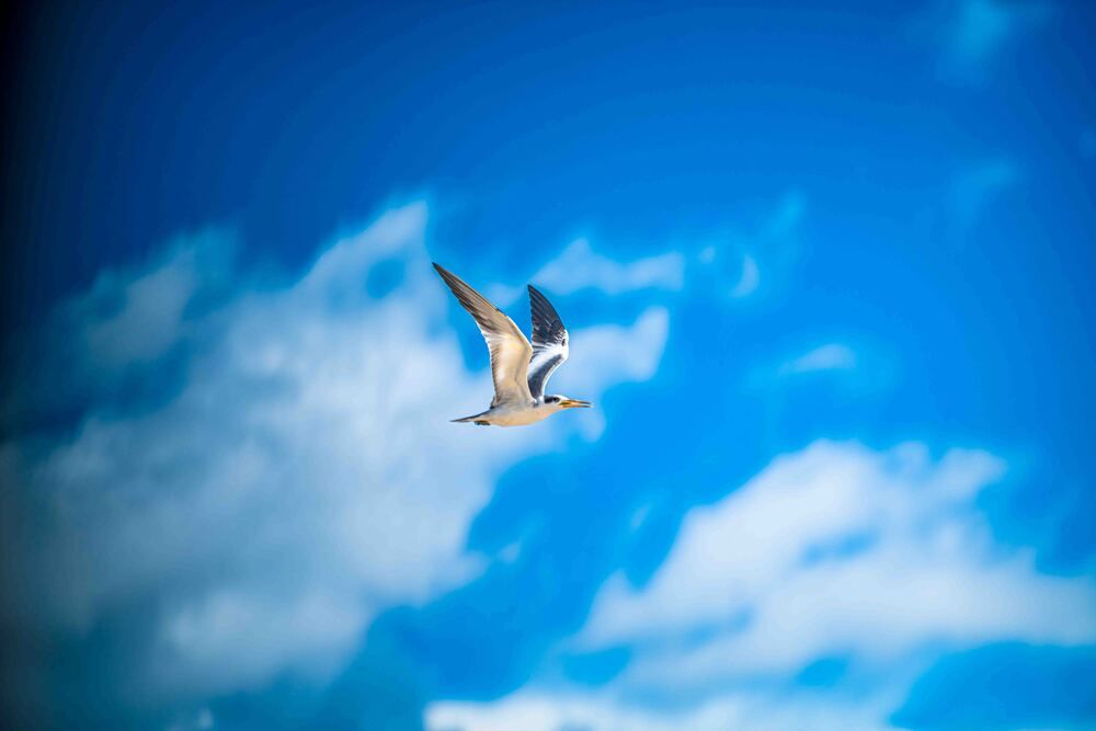 Photograph by Fabricio Linares Santillán