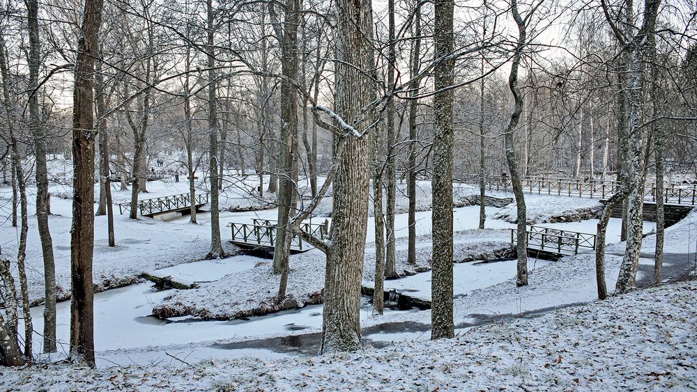 1-го января в парке