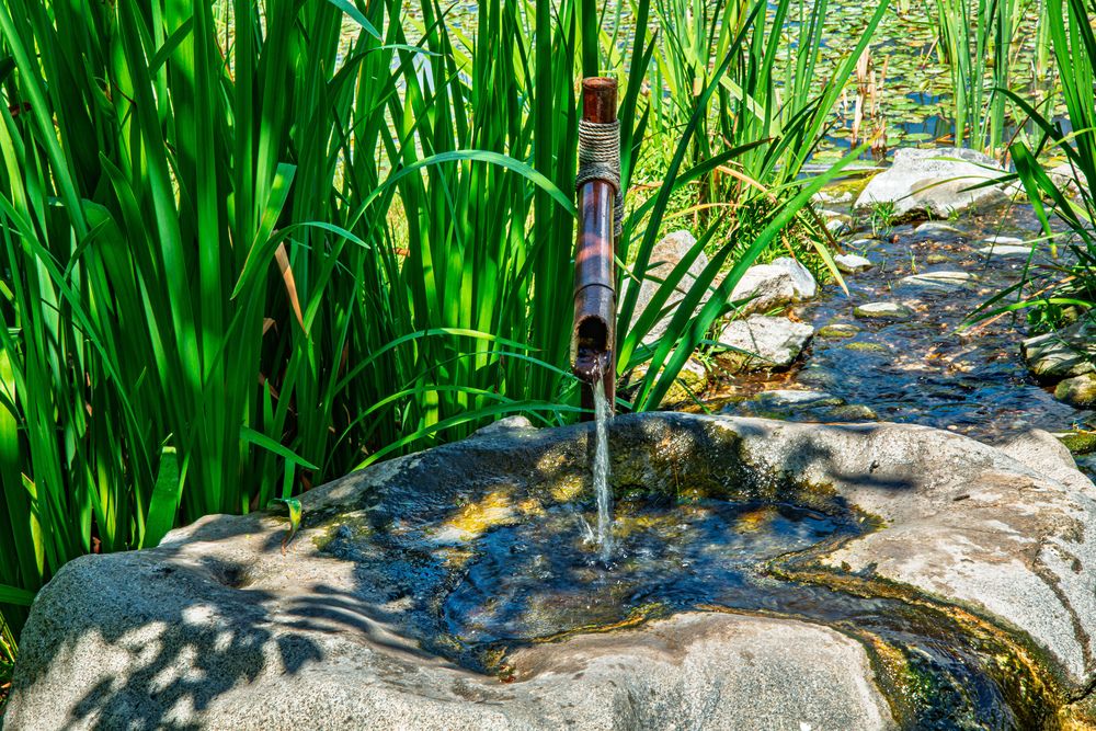 Photograph by Mariela Maragna