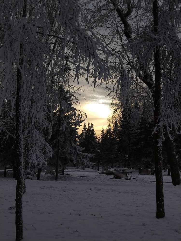 Photograph by Ольга Шангареева
