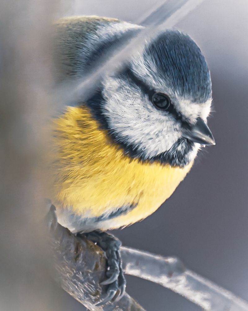 Здравствуйте