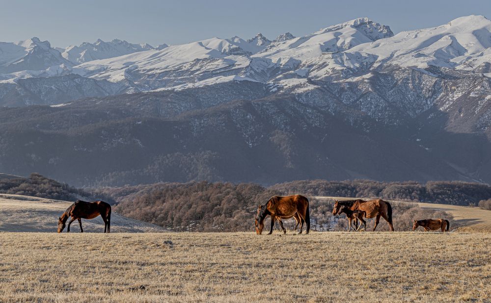 Фотография автора ПУЗЕНКО ДМИТРИЙ