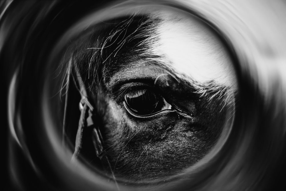 Photograph by Марина Верятинская