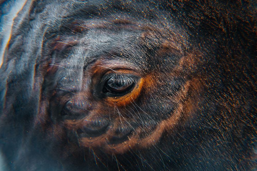 Photograph by Марина Верятинская