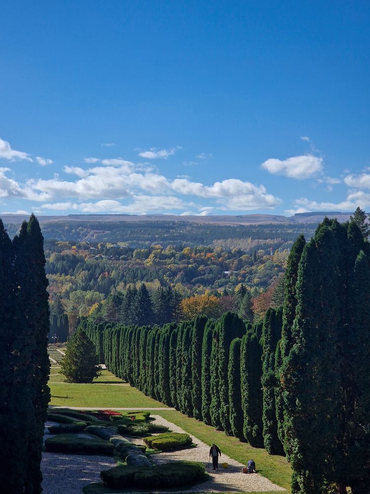 Photograph by Полина Галянина