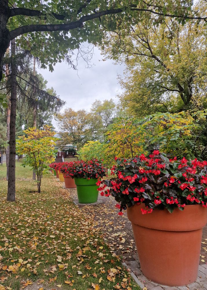 Photograph by Полина Галянина