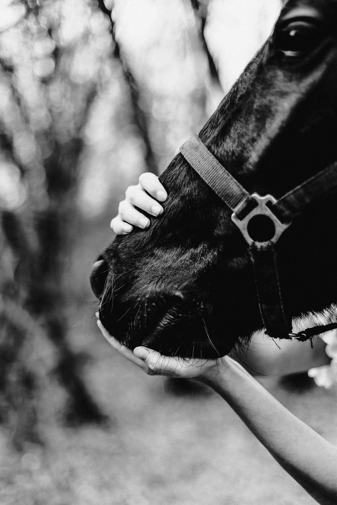 Photograph by Марина Верятинская