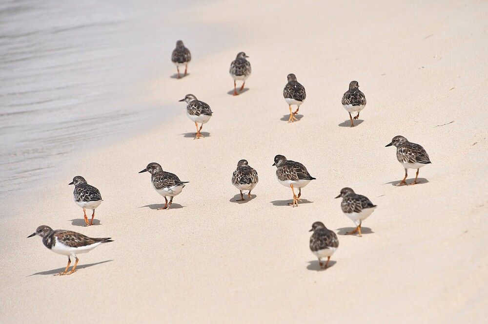 Photograph by Marzio Fattorini