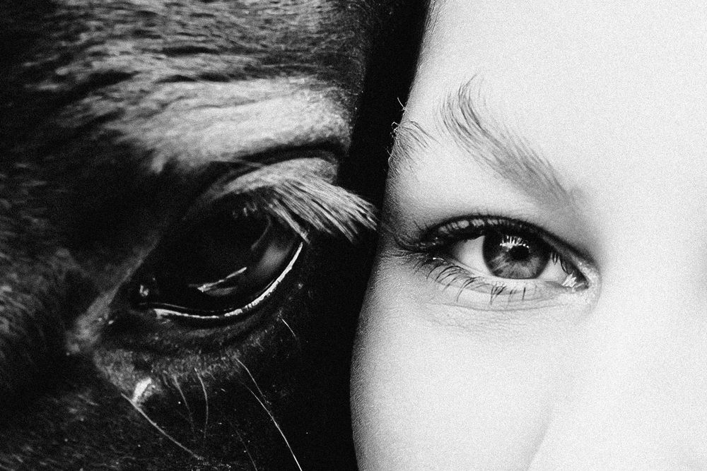 Photograph by Марина Верятинская