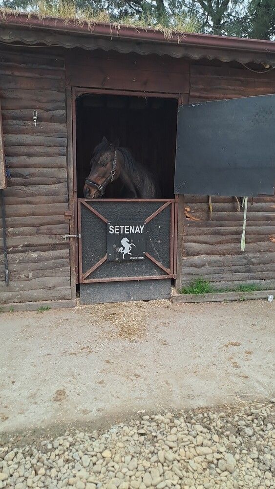 Photograph by betül yiğci