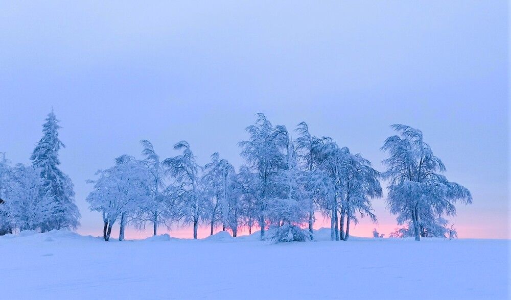 Голубой рассвет