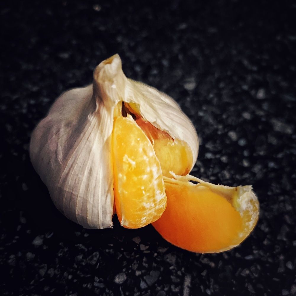 Photograph by Хоменчук Людмила