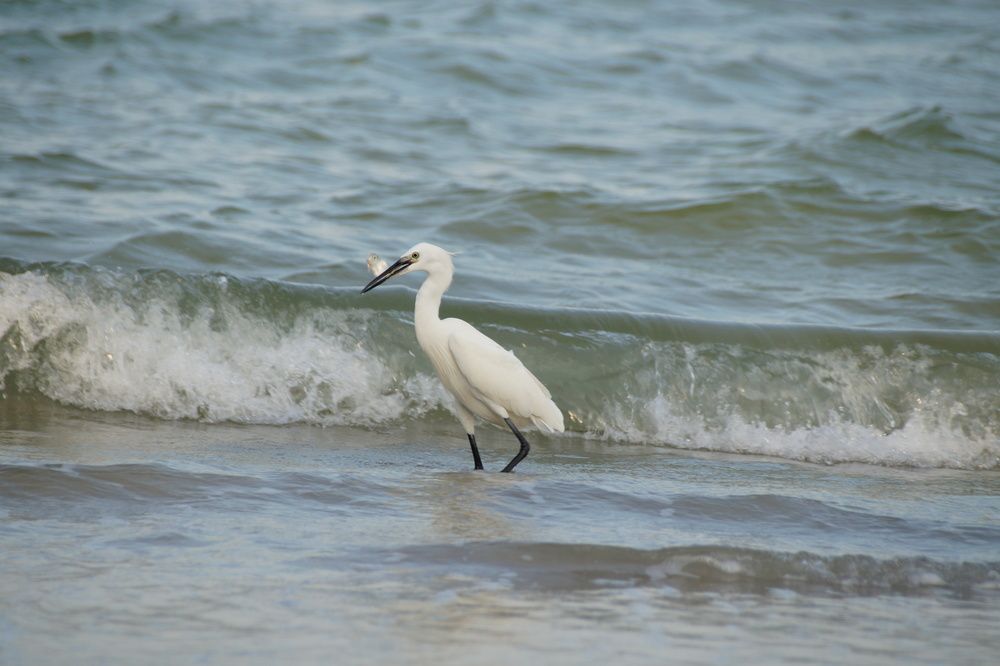 Photograph by Anna Dalinger