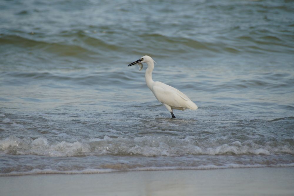 Photograph by Anna Dalinger