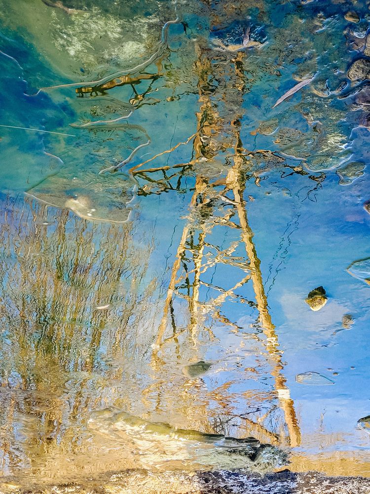 Поздняя осень...