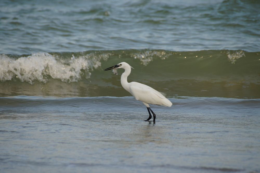 Photograph by Anna Dalinger