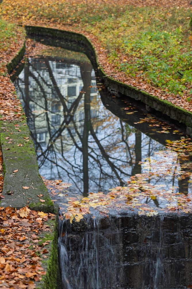 Photograph by Нестеренко Виктория