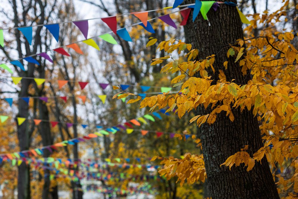 Photograph by Нестеренко Виктория