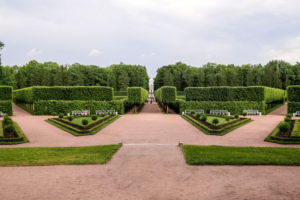 Photograph by Ольга Солодова