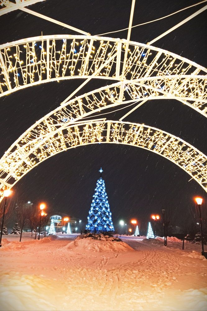 Фотография автора Снежана Лаптева