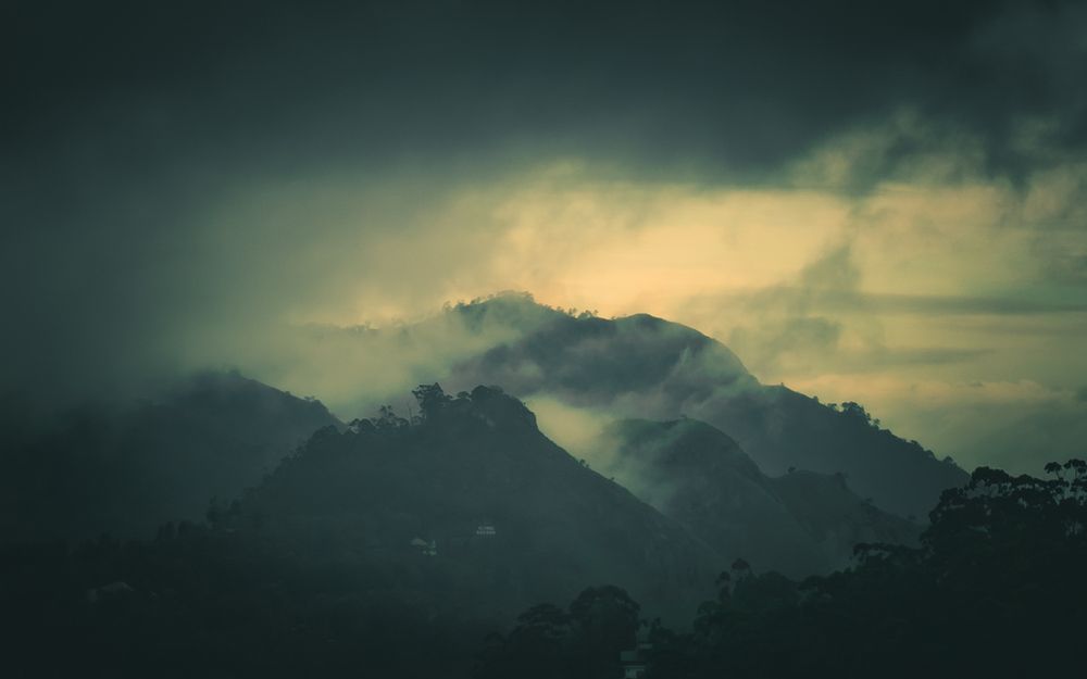 Photograph by M. Maleesha Sathsara Perera