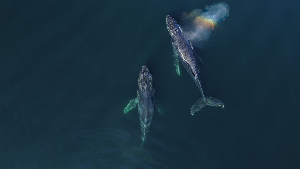 Photograph by Emiliano Arona