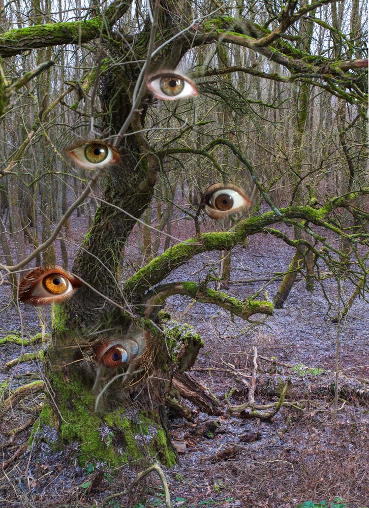 Photograph by Александр Рудаков