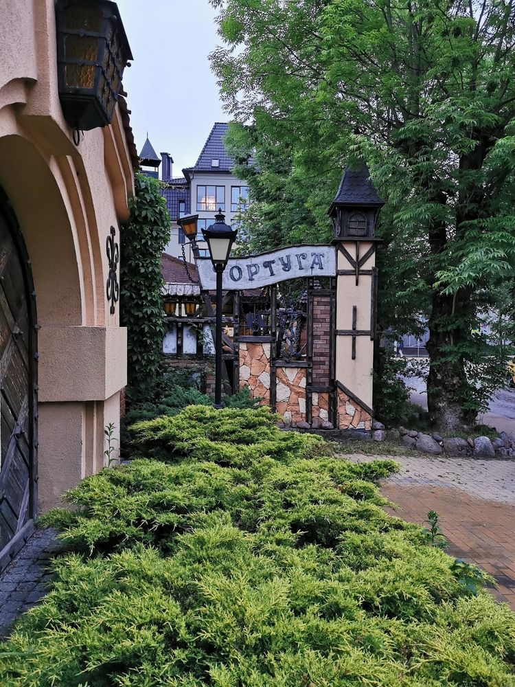 Фотография автора OLGA Dmitryachkova