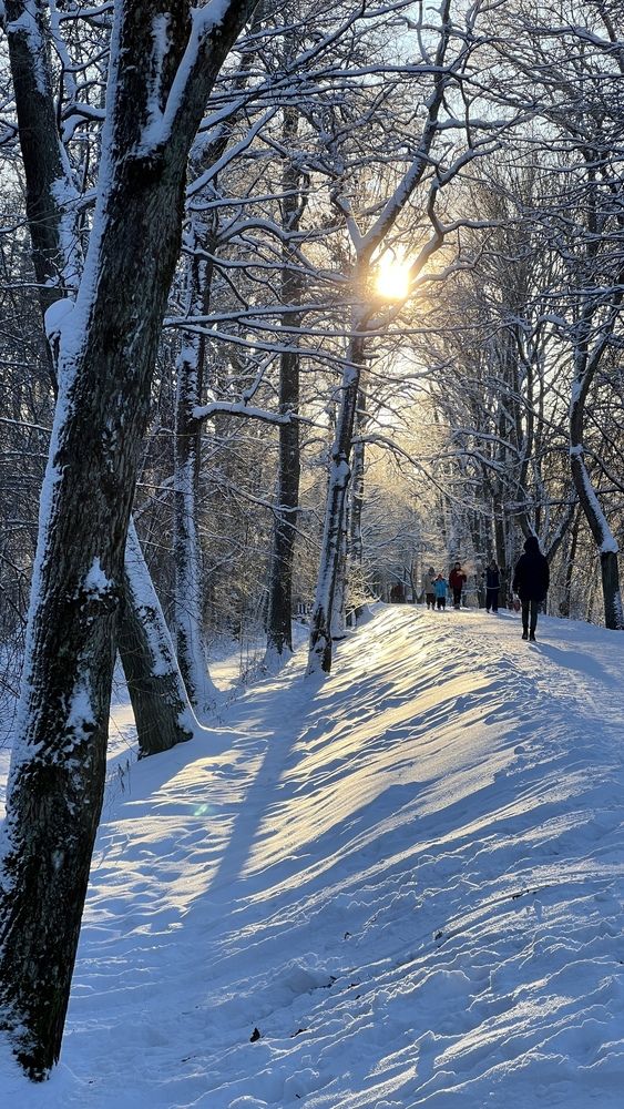 Photograph by Логинова Наталия