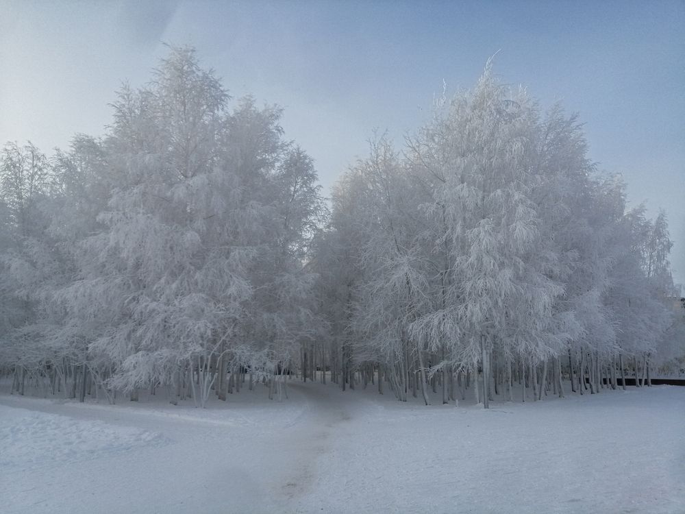 Фотография автора Виталий Са