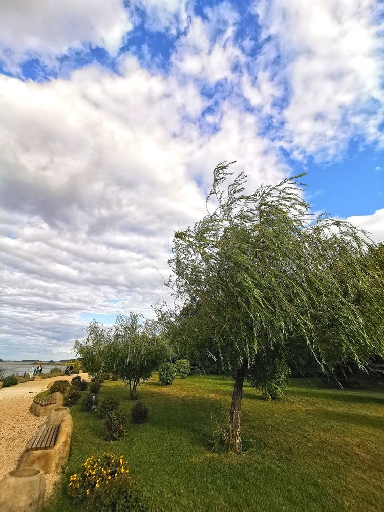 Фотография автора OLGA Dmitryachkova