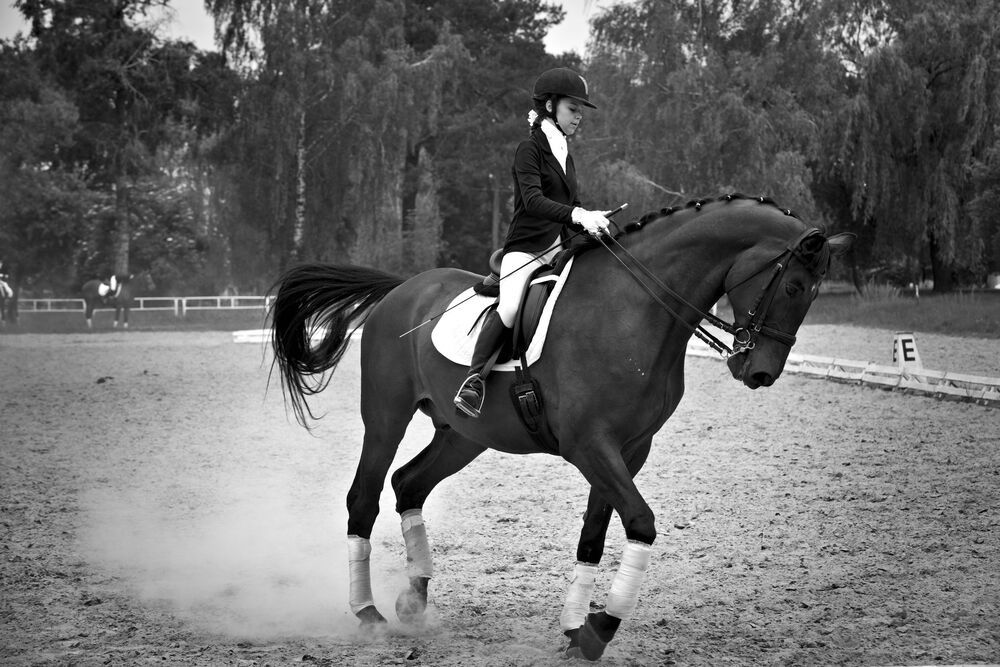 Photograph by Александр Врубель