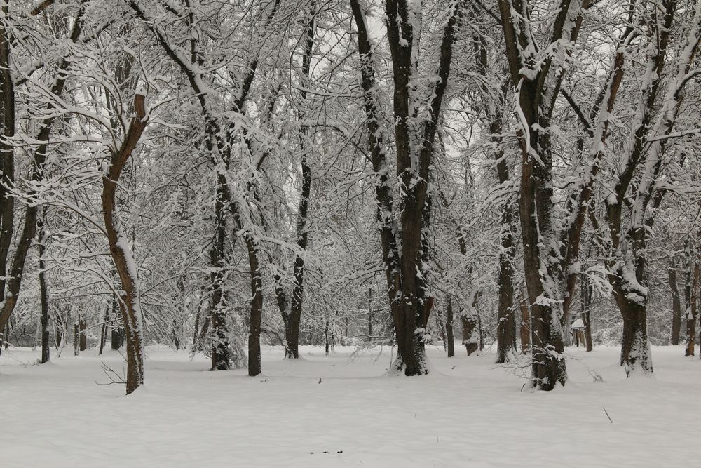 Фотография автора Сергей Кульков