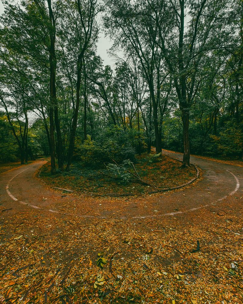 Photograph by Алексей Гуминский