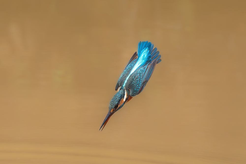 Photograph by Eric Poon