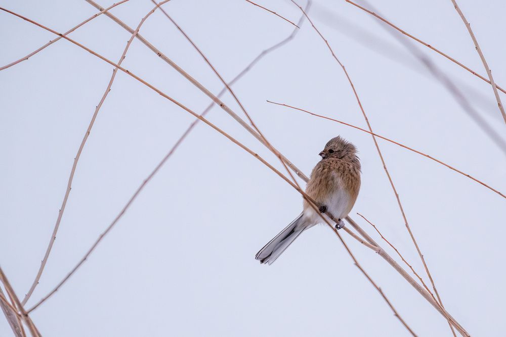 Photograph by Бодрягин Виталий