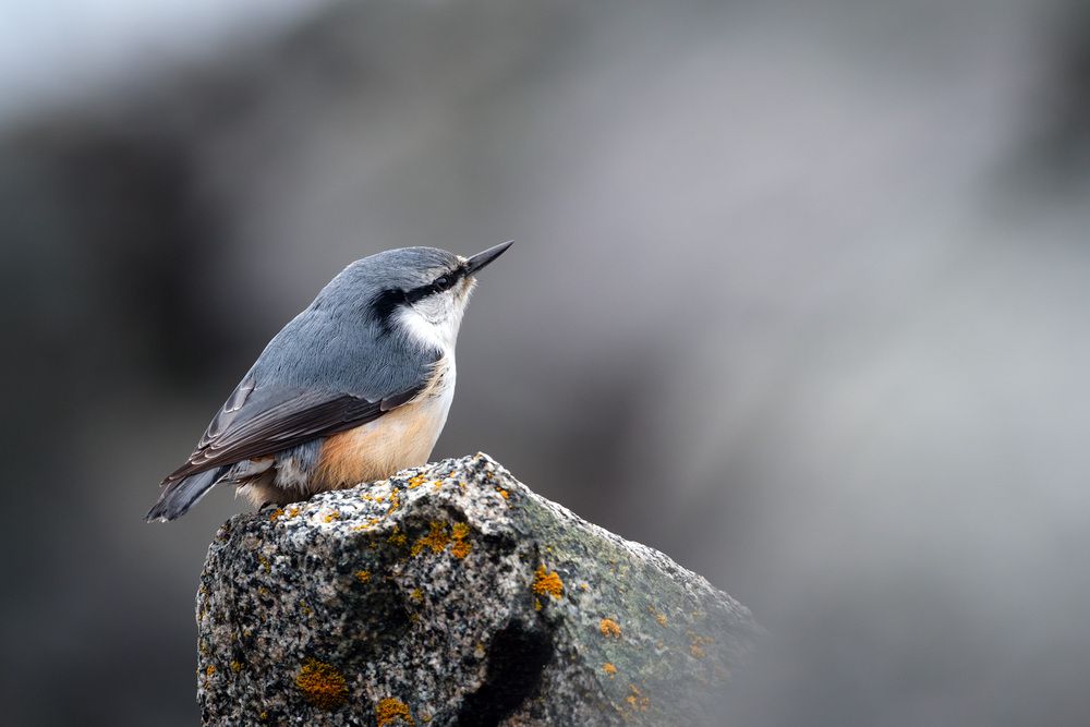 Photograph by Бодрягин Виталий