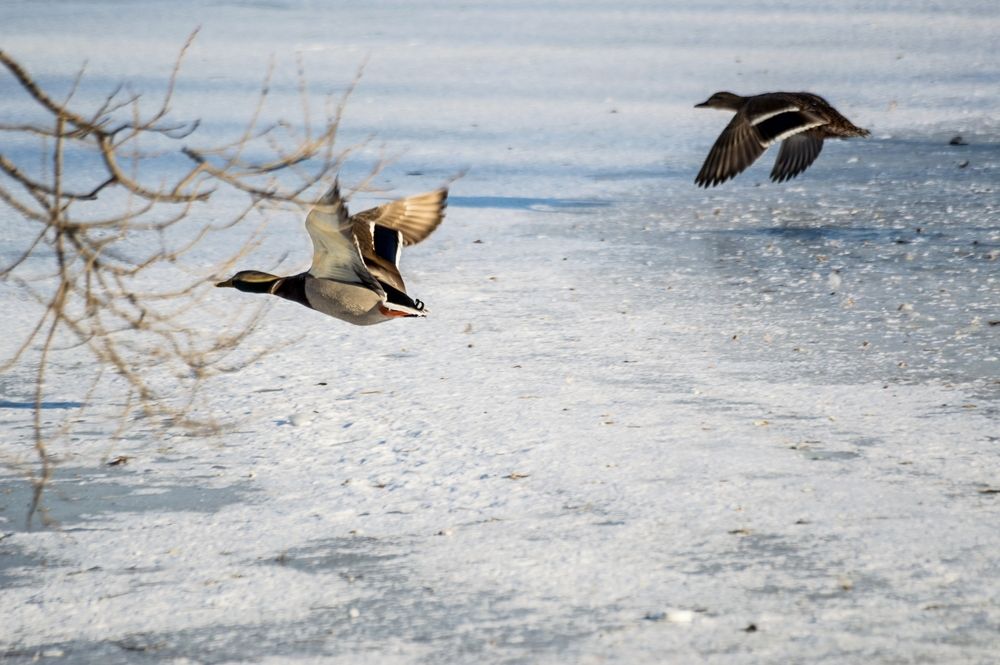 Фотография автора Ирина Эф