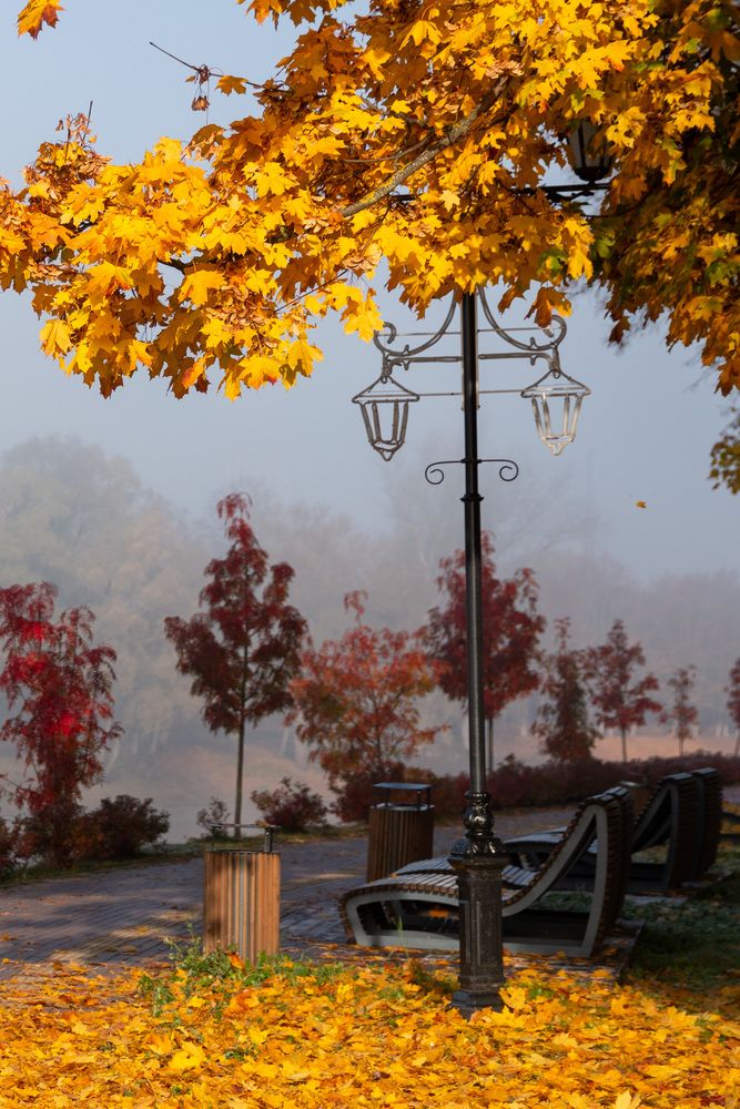 Фотография автора Бугаев Олег