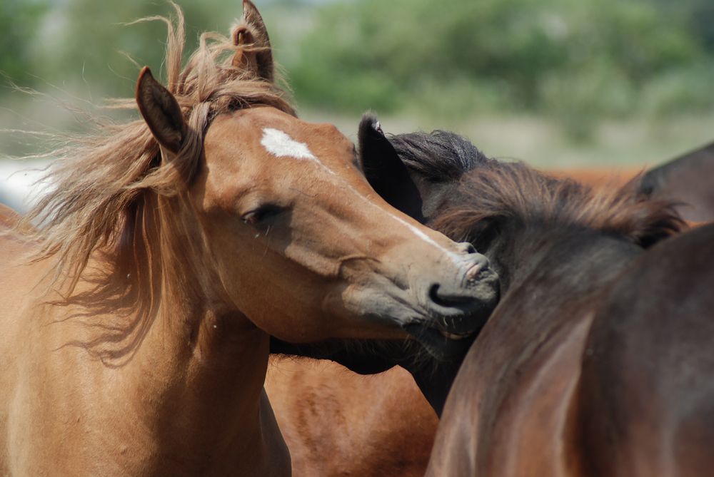 Photograph by Дмитрий Петренко