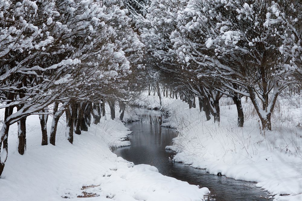 Photograph by Кочкин Владимир