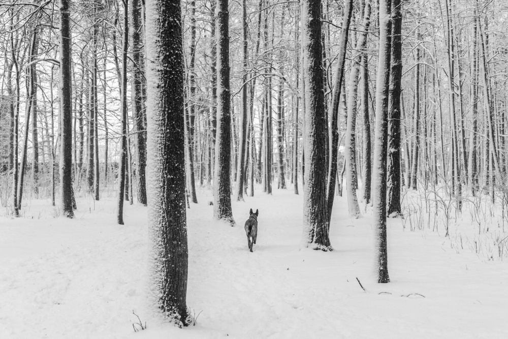 Photograph by Антон Огородов
