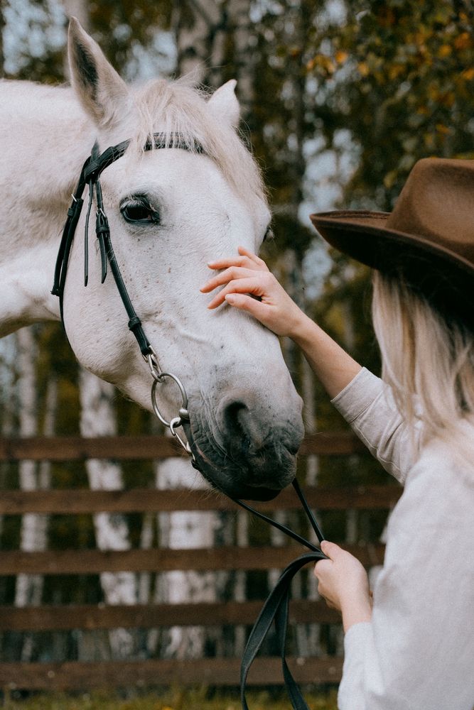 Photograph by Косицына Геля