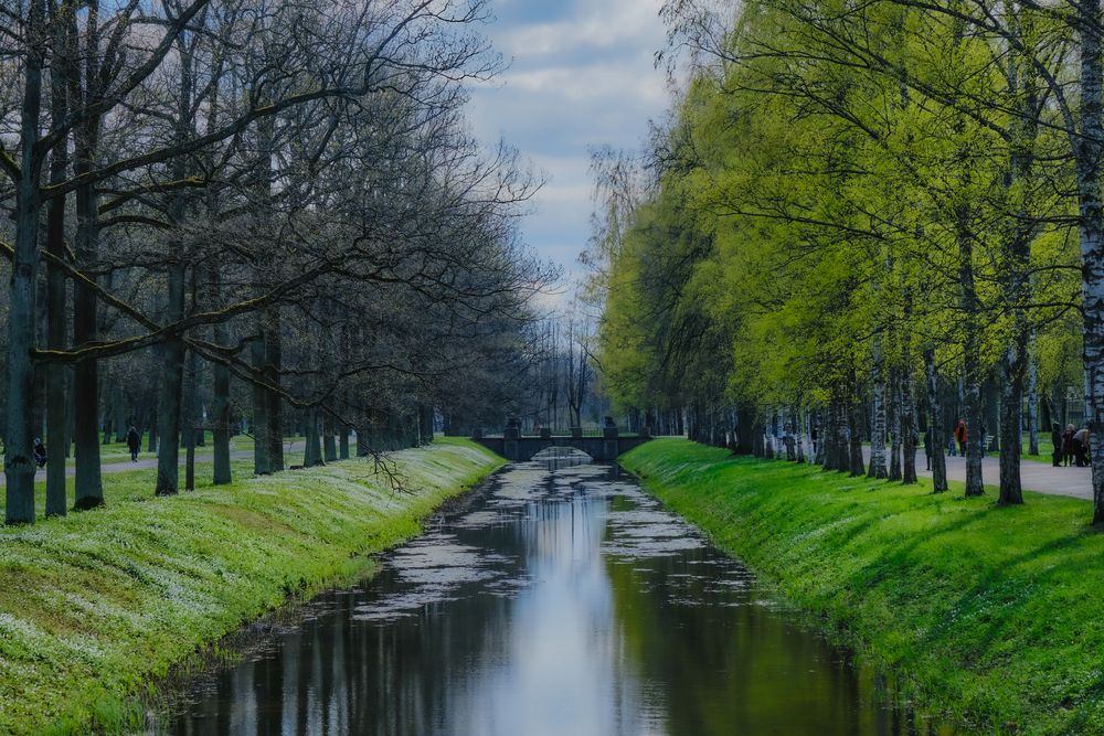 Photograph by Сергей Кесаев