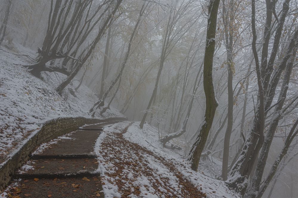 Photograph by Чухров Дмитрий
