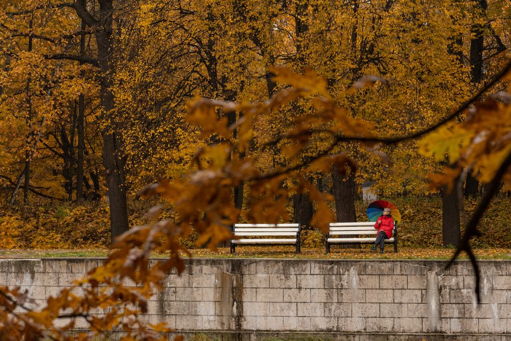 Фотография автора Ruslan Menzulin