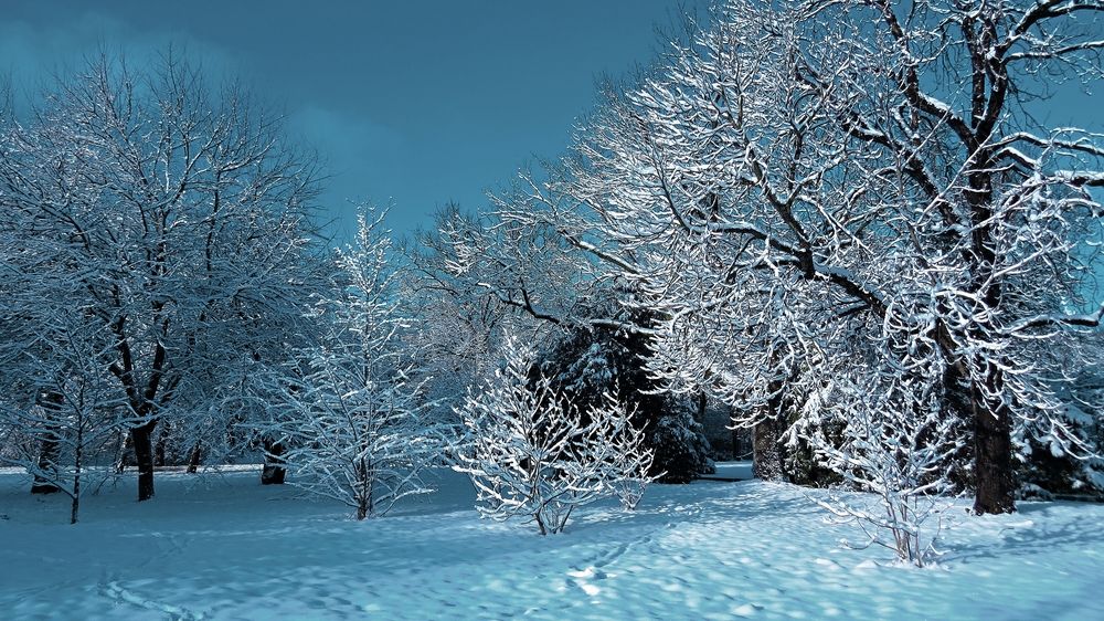 Photograph by Фартушняк Сергей