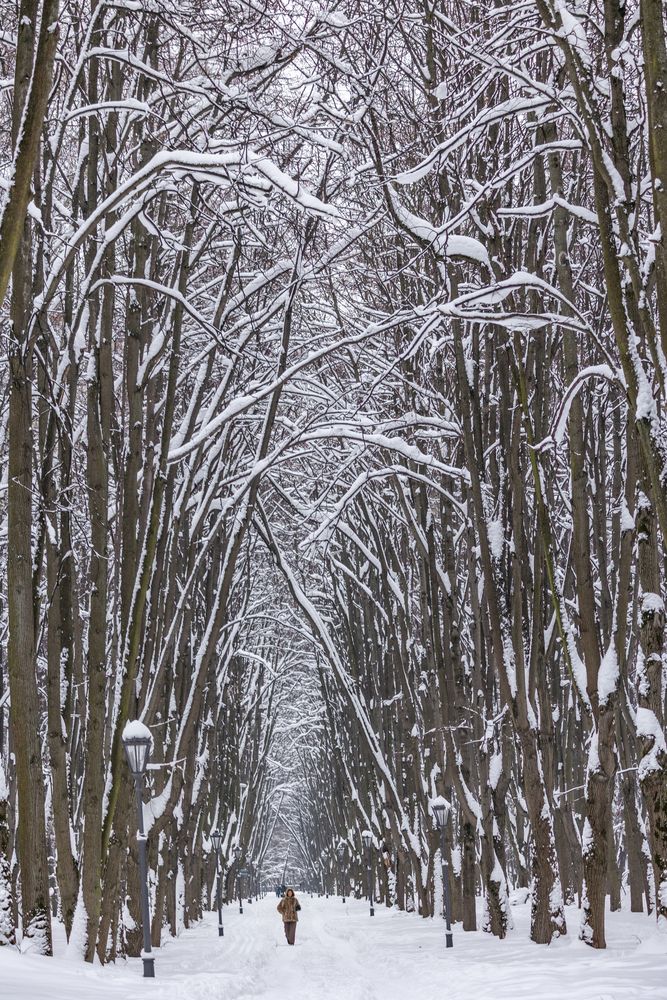 Фотография автора Ruslan Menzulin