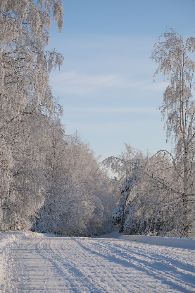 Photograph by Надежда Кангина